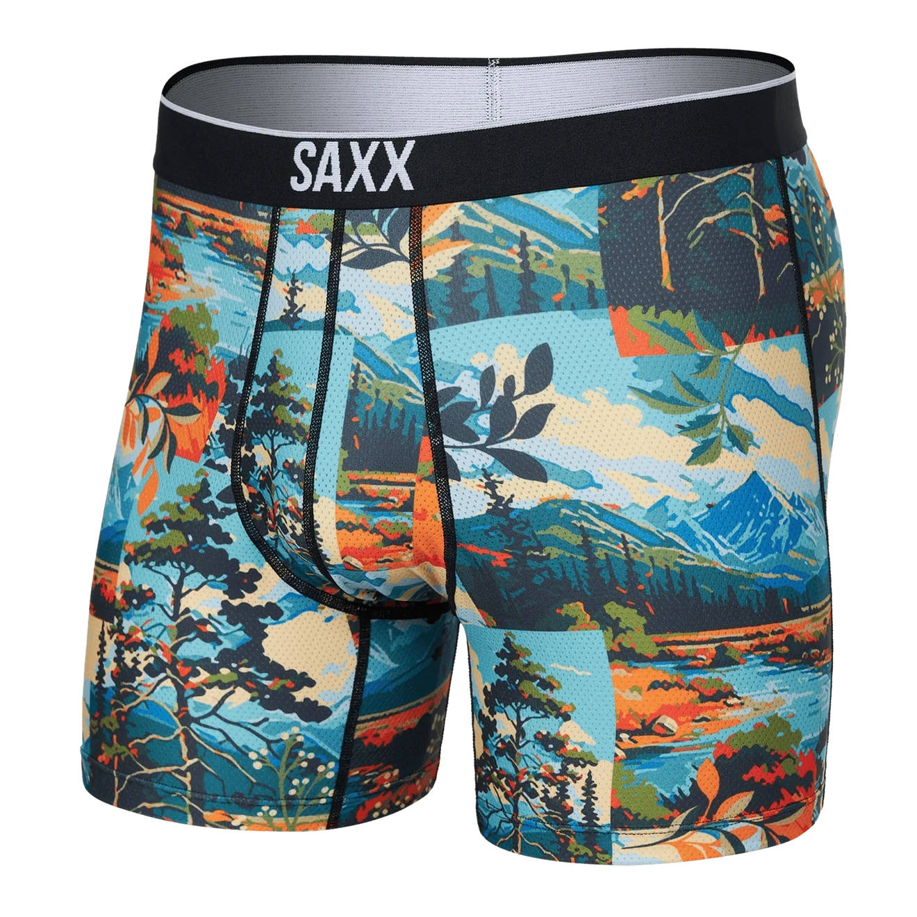 'SAXX Volt Boxer Brief' with 'Painted Landscape' print
