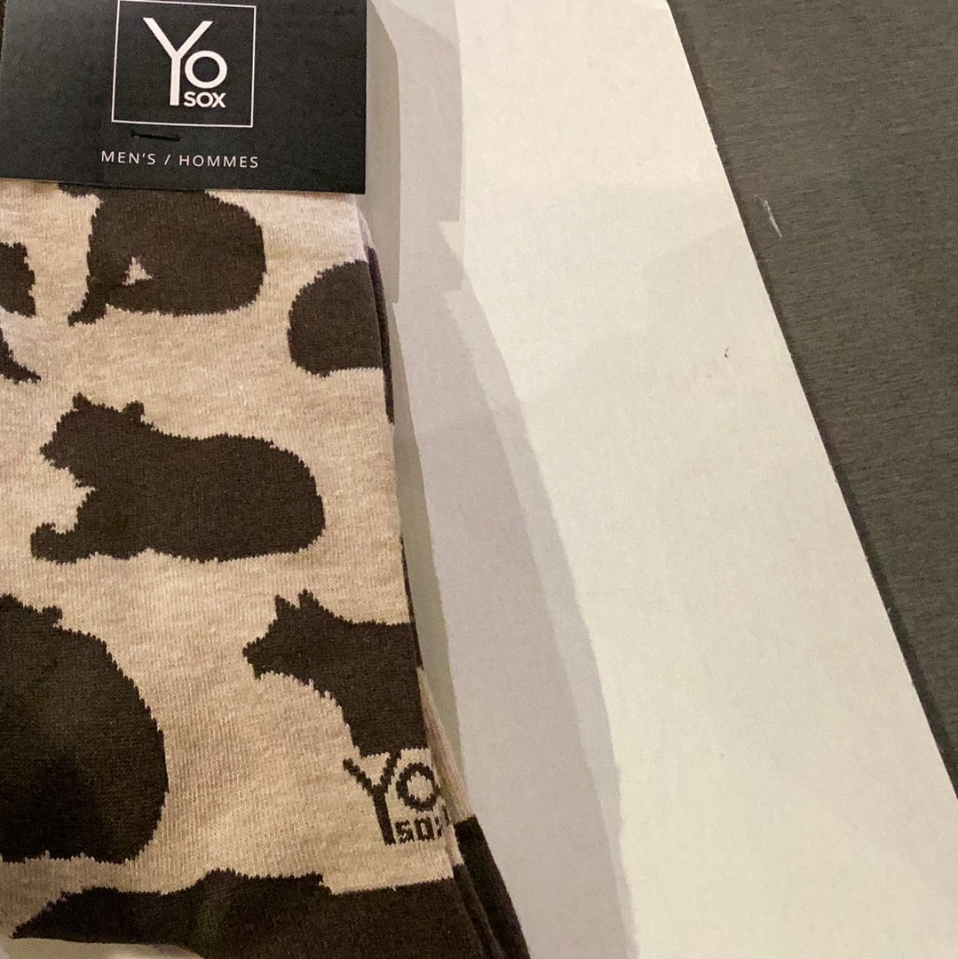 'Yo Sox Brown Bear Crew Socks' in 'Cream' colour
