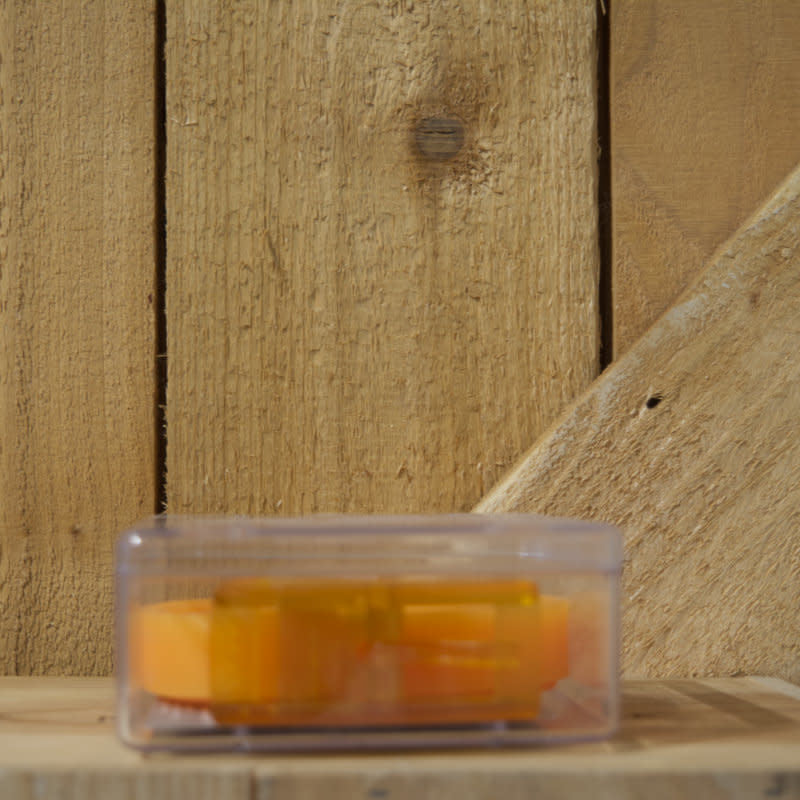 'Borel Youth Nickel Free Belt' in 'Orange' colour