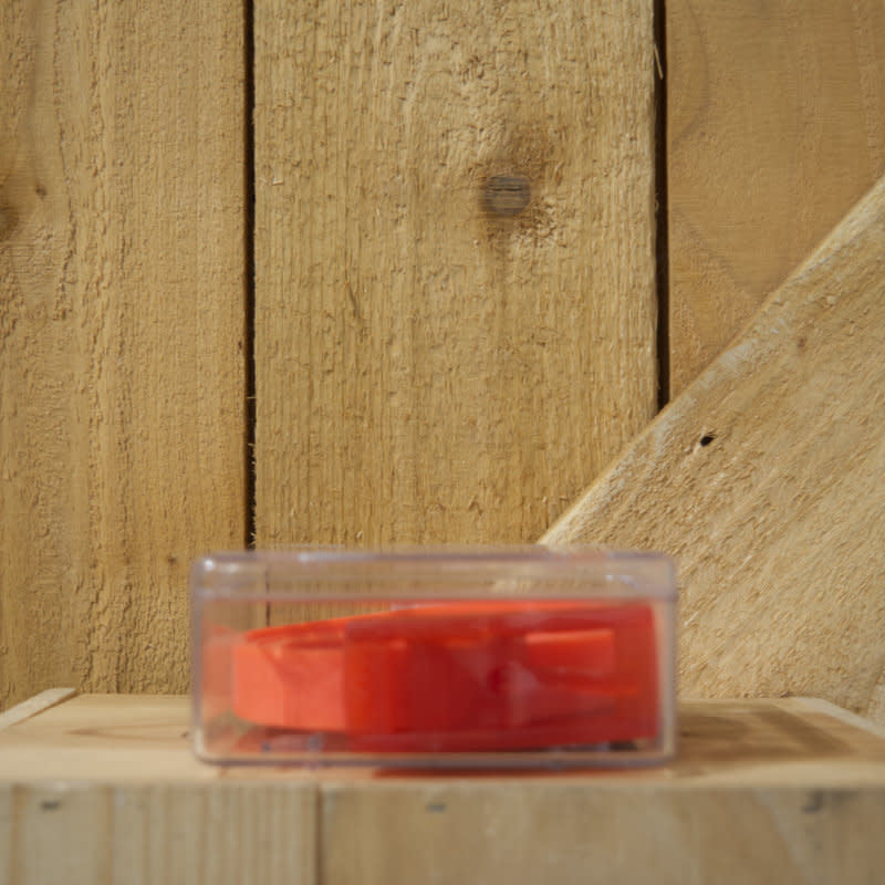 'Borel Youth Nickel Free Belt' in 'Red' colour