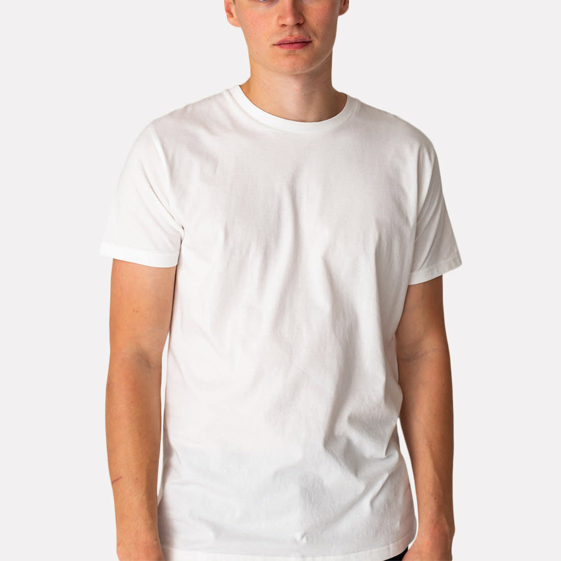 Revolution (RVLT) 1051 Evergreen T-Shirt White