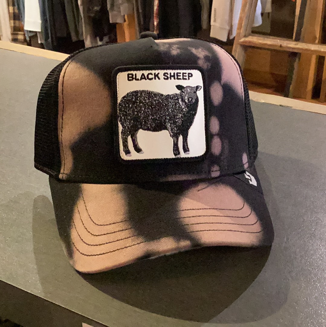 Black sheep best sale hat