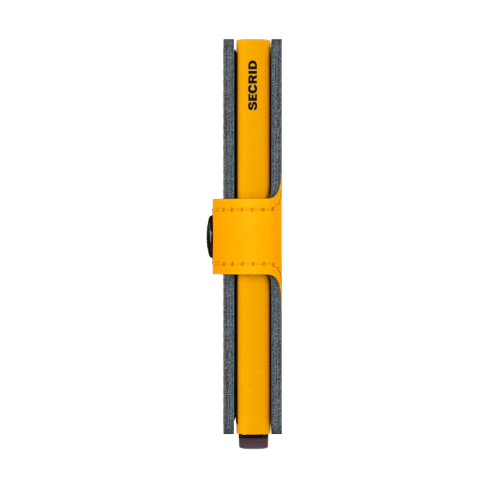 Ochre