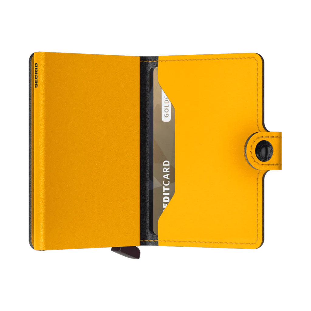 Ochre