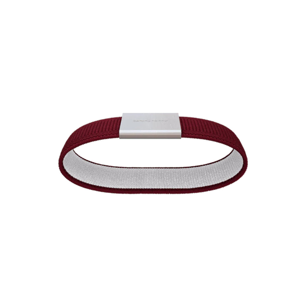Secrid Moneyband Brick