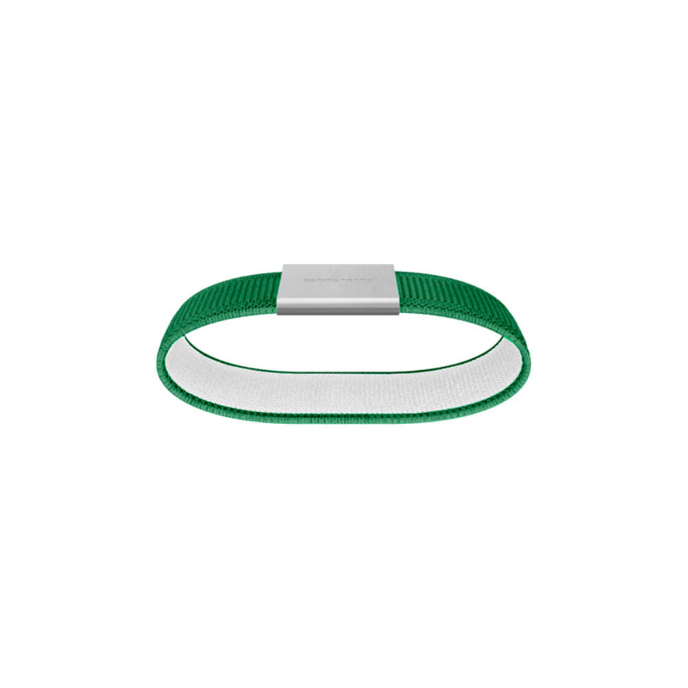 Secrid Moneyband Green
