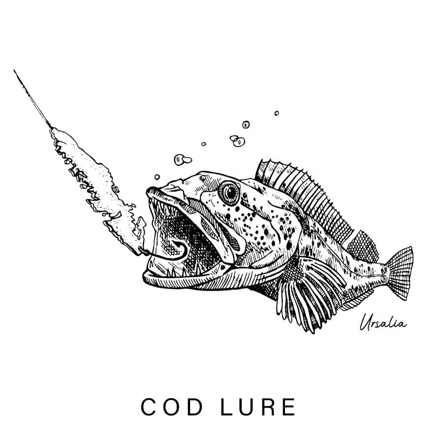 Ursalia Creative Cod Island Lure T-Shirt Black